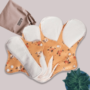 Starter Set - Pack of 4
