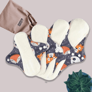 Starter Set - Pack of 4
